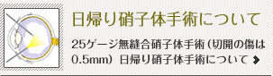 日帰り硝子体手術について 25ゲージ無縫合硝子体手術（切開の傷は0.5mm）日帰り硝子体手術